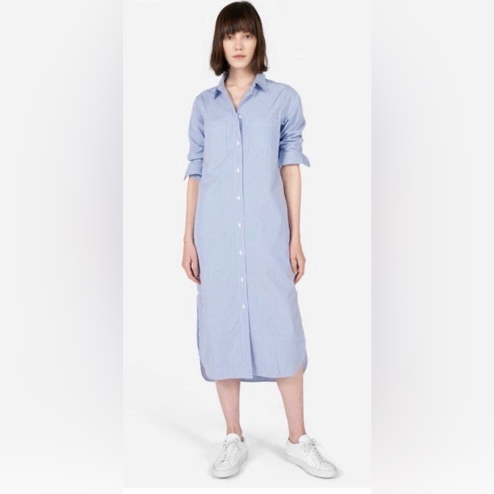 EVERLANE Striped Cotton Poplin Shirt Dress Sz 12